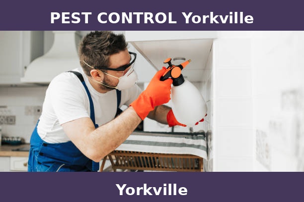 PEST CONTROL Yorkville